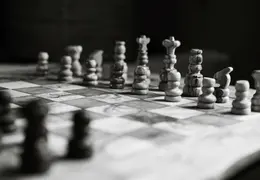 DSC 7646